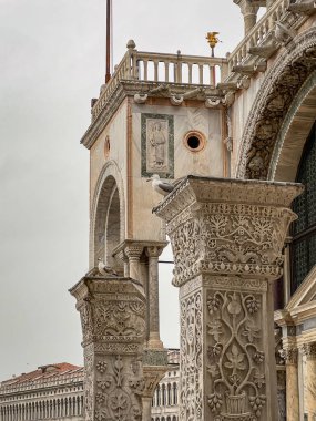 Martılar yiyecek ararlar. Venedik, İtalya