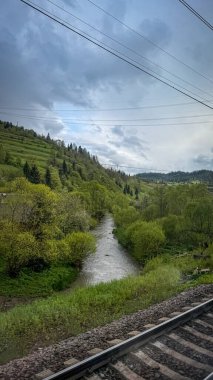  Ukrayna 'daki Karpatlar' ın bulutlu bir gökyüzü altındaki panoramik manzarası. Yoğun yeşil orman kayan tepeleri kaplıyor.