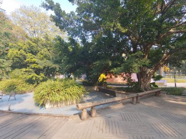 Huzurlu parklardan hareketli kentsel köşelere kadar bu görüntüler banklarda harcanan anların özünü yakalıyor..