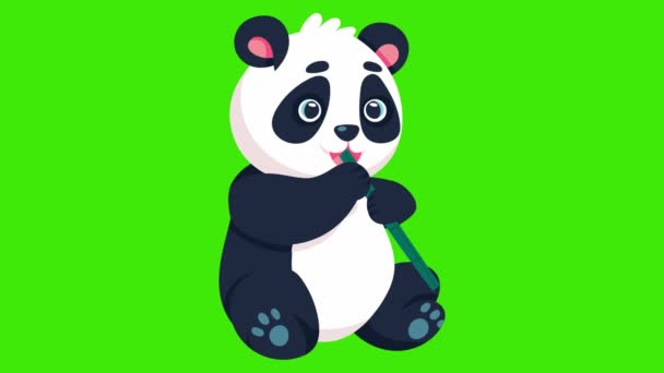 Animação Desenho Animado Panda Bonito Comendo Bambu Vara Tela Verde — Vídeo de Stock