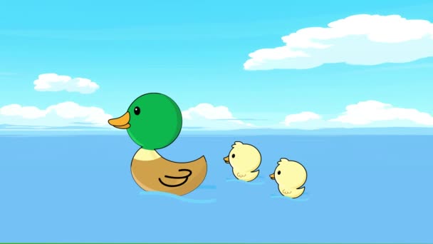 Animação Desenho Animado Pato Nadando Com Seus Bebês Pato Bebê — Vídeo de Stock