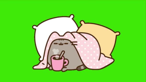Animation Cartoon Cat Coffeecup Tea Winter Blanket Pillows Cat Teacup — Stockvideo