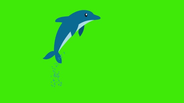 Animación Delfín Dibujos Animados Saltó Del Agua Pantalla Verde — Vídeos de Stock