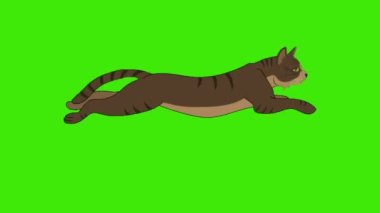 2d animasyon çizgi film kedisi hızlı koşuyor yeşil ekran arka planda 4k, kroma anahtarı, kedi