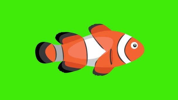 美しいピエロの魚のアニメーション 緑のスクリーン 魚の水族館 クロマのキー4K — ストック動画