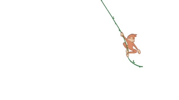 Neşeli Maymun Muzlarla Sarmaşıkta Sallanıyor Canlandırılmış Orman Macerası — Stok video