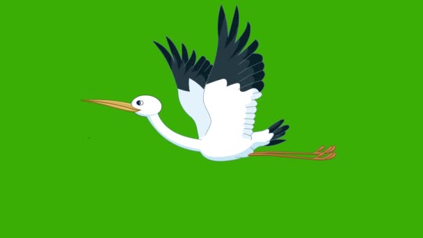 Animazione Uccelli Clip Fuga Tropicale Uccello Colorato Del Paradiso Visualizza — Video Stock