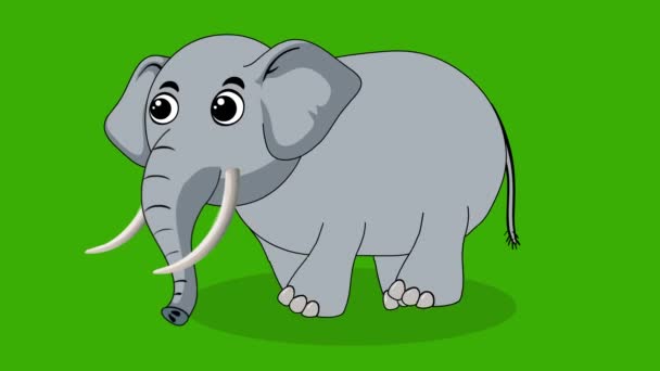 Big Elephant Wandelen Groen Scherm Olifant Wandelen Hathi Raja Majestic — Stockvideo