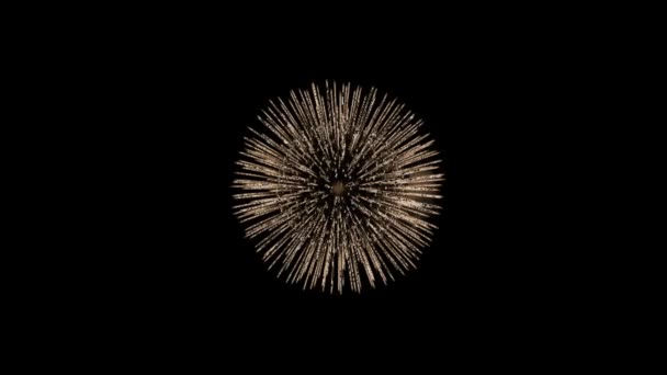 Animation Cartoon Fireworks Black Background Celebration Fireworks — Stock Video