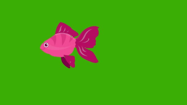 Animation Γελοιογραφία Ροζ Ψάρια Που Κολυμπούν Πράσινη Οθόνη Chroma Κλειδί — Αρχείο Βίντεο