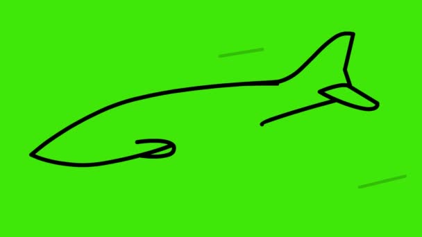Çizim Boyama Yeşil Ekranda Bir Uçak Uçak Sineği Uçak Çizimi — Stok video