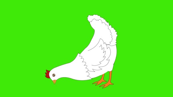 Animazione Cartone Animato Mangiare Pollo Sfondo Verde Mangiare Pollo Gallina — Video Stock