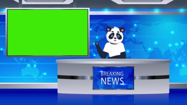 Мультяшна Панда Новинний Репортер Новинній Студії Анімації Зелений Екран Анімація — стокове відео