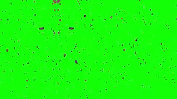 Confete Caindo Animação Tela Verde Animação Conceito Chuva Confete Confete — Vídeo de Stock