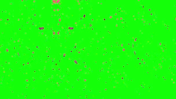 Confete Roxo Rosa Caindo Animação Tela Verde Animação Conceito Chuva — Vídeo de Stock