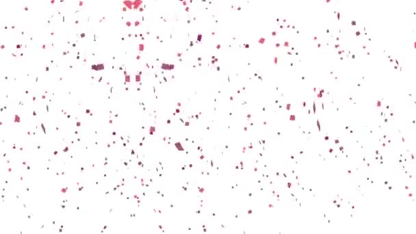 Rosa Roxo Confete Caindo Animação Fundo Branco Animação Conceito Confete — Vídeo de Stock