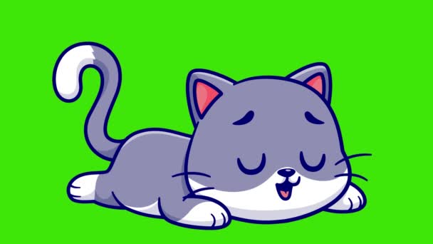 Dibujos Animados Gato Durmiendo Animación Pantalla Verde Gatito Dormir Sobre — Vídeos de Stock