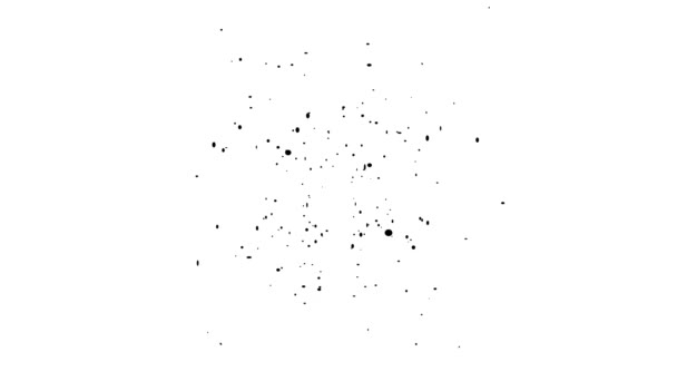在白色背景 Confetti雨 五彩斑斓的Confetti爆炸动画 — 图库视频影像