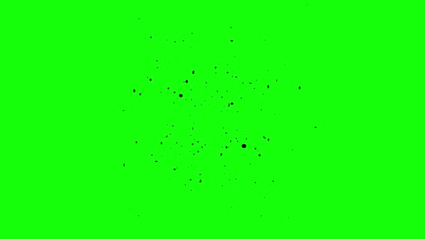 Černé Konfety Explodovala Animace Zelené Obrazovce Animace Koncept Konfety Déšť — Stock video