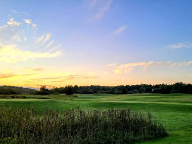 Golf sahasında yeşil ağaçlar ve mavi bir gökyüzü