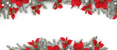 Noel çerçevesi köknar dalları ve tatil kırmızı çiçekleri, bulanık, beyaz arka planda ışık. Mutlu yıllar ve Xmas, üst manzara, geniş pankart