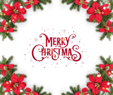 Köknar dalları ve beyaz arka planda tatil kırmızı çiçekleri olan mutlu Noeller metni. Mutlu yıllar ve Xmas, üst manzara, geniş pankart