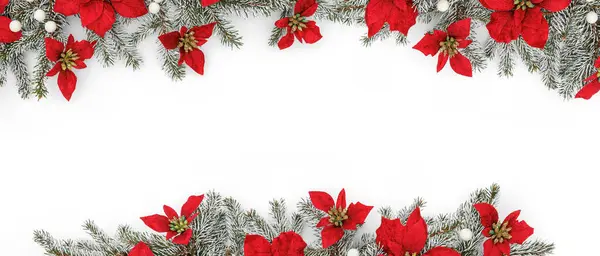 Merry Christmas Frame Made Fir Branches Holiday Red Flowers Blur Stock Image