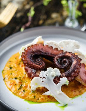 Ahtapot dokunaçları karnabahar ve sebze püresi ile mermer zemin üzerinde içecekler. Sağlıklı deniz ürünleri, manzaralı.