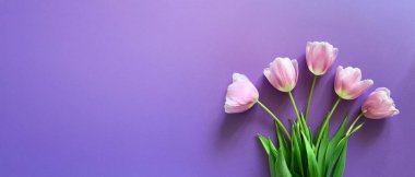 Mor arka planda pembe laleler çiçek buketi. Geniş çiçek pankartı. Kutlama kartı, Sevgililer Günü, 8 Mart, Kadınlar Günü, Anneler Günü, Üst Manzara