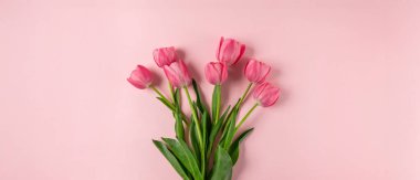 Pembe laleler pembe arka planda çiçek buketi. Geniş çiçek pankartı. Kutlama kartı, Sevgililer Günü, 8 Mart, Kadınlar Günü, Anneler Günü, Üst Manzara