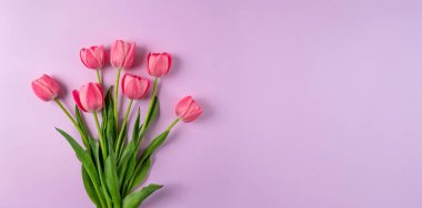 Mor arka planda pembe laleler çiçek buketi. Geniş çiçek pankartı. Kutlama kartı, Sevgililer Günü, 8 Mart, Kadınlar Günü, Anneler Günü, Üst Manzara