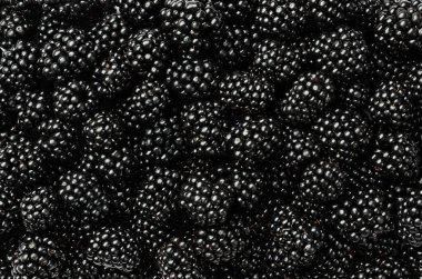 Böğürtlen arkaplanı, doku. Üst görünüm