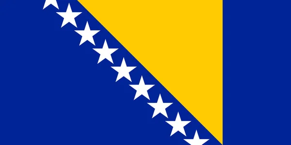 Bosnien Och Hercegovinas Flagga Nationell Bosnien Och Hercegovinas Flagga Europa — Stock vektor