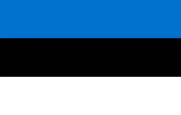 High Detailed Flag Estonia National Estonia Flag Europe Illustration — Stockfoto