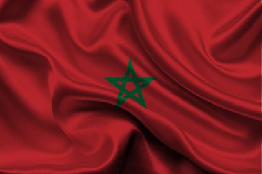 Fas 'ın yüksek detaylı bayrağı. Ulusal Fas bayrağı. Afrika. 3B illüstrasyon.