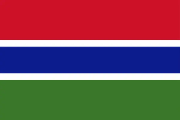 High Detailed Flag Gambia National Gambia Flag Africa Illustration — Stockfoto
