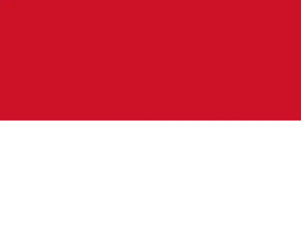 Högt Detaljerad Flagga Monaco Nationell Monaco Flagga Europa Illustration — Stock vektor