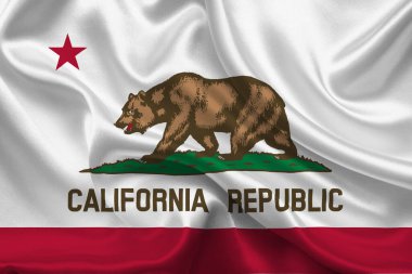 Kaliforniya 'nın yüksek detaylı bayrağı. Kaliforniya bayrağı, Ulusal Kaliforniya bayrağı. California eyaletinin bayrağı. ABD. Amerika.