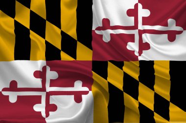 Maryland 'in yüksek detaylı bayrağı. Maryland eyalet bayrağı, Ulusal Maryland bayrağı. Maryland eyaleti bayrağı. ABD. Amerika.