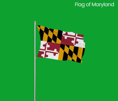 Maryland 'in yüksek detaylı bayrağı. Maryland eyalet bayrağı, Ulusal Maryland bayrağı. Maryland eyaleti bayrağı. ABD. Amerika.