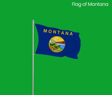 Montana 'nın yüksek detaylı bayrağı. Montana eyalet bayrağı, Ulusal Montana bayrağı. Montana bayrağı. ABD. Amerika.