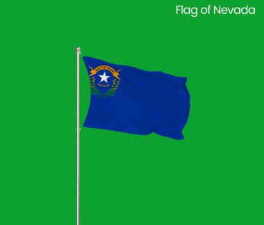 Nevada 'nın yüksek detaylı bayrağı. Nevada bayrağı, Ulusal Nevada bayrağı. Nevada eyaleti bayrağı. ABD. Amerika.