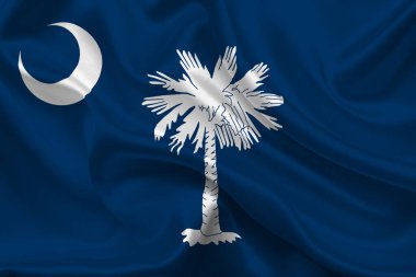 Güney Carolina 'nın yüksek detaylı bayrağı. Güney Carolina bayrağı, Ulusal Güney Carolina bayrağı. Güney Carolina bayrağı. ABD. Amerika.