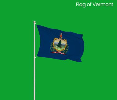 Vermont 'un yüksek detaylı bayrağı. Vermont eyalet bayrağı, Ulusal Vermont bayrağı. Vermont bayrağı. ABD. Amerika.