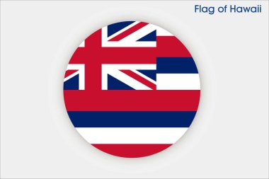 Hawaii 'nin yüksek detaylı bayrağı. Hawaii eyalet bayrağı, Hawaii bayrağı. Hawaii bayrağı. ABD. Amerika.
