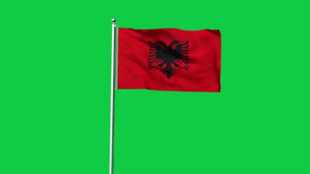 Высокий Детальный Флаг Албании Государственный Флаг Албании Европе Иллюстрация Флаг — стоковое видео