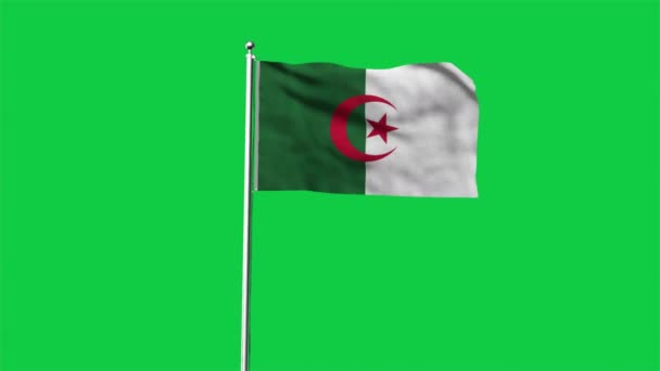 Haut Drapeau Détaillé Algérie Drapeau National Algérie Afrique Render Drapeau — Video