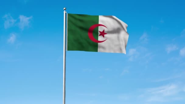 Υψηλή Λεπτομερής Σημαία Της Αλγερίας Σημαία Αλγερίας Αφρική Render Ιστορικό — Αρχείο Βίντεο