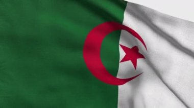 Cezayir 'in yüksek detaylı bayrağı. Ulusal Cezayir bayrağı. Afrika. Üç boyutlu çizim. İpek kumaş bayrağı.