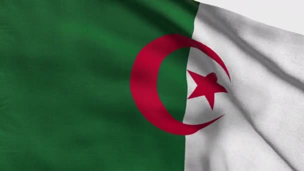 Algeriets Flagga Nationell Algeriet Flagga Afrika Render Flagga För Sidenväv — Stockvideo